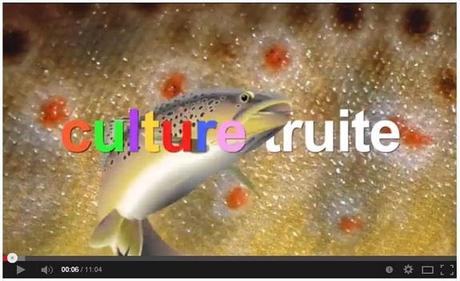 Regardez Culture Truite #01 capture-culture-truite.JPG