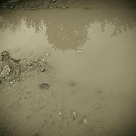Those are the days of heavenly bodies soaking in mud. #shittytimes #mud #nature #water #reflexion