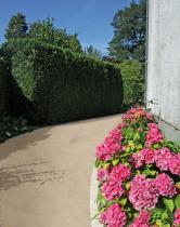 Allées de garage ou allées de maison : Les matériaux. Naturelstar allée carrossable écologique