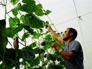 Les immigrés actifs plus nombreux en France en 2012 qu’en 2008 travailleur immigré