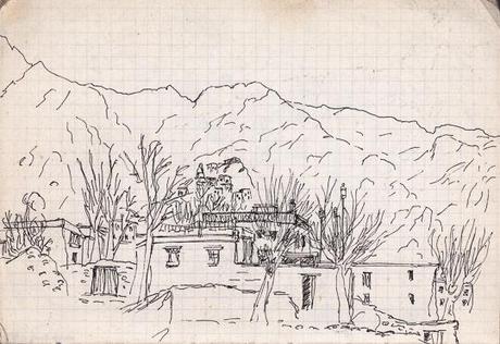 The village, Hemis, Ladakh