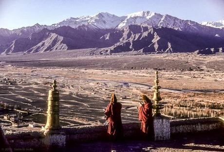 From Thiksey Gompa : Indus Valley, Ladakh
