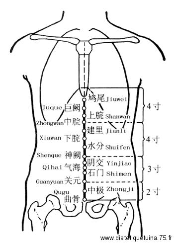 Le point Shi Men du Vaisseau Conception (5VC) Points du Vaisseau Conception