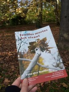 La saga des arbres continue A34 1455136_10152637236059237_1711709427_n