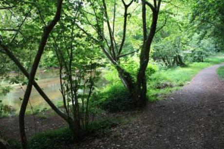 Une découverte de Pont-Aven: le Bois d’Amour Image