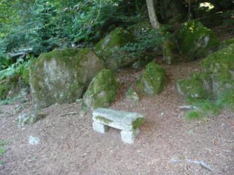Une découverte de Pont-Aven: le Bois d’Amour Image