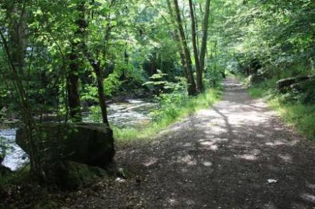 Une découverte de Pont-Aven: le Bois d’Amour Image