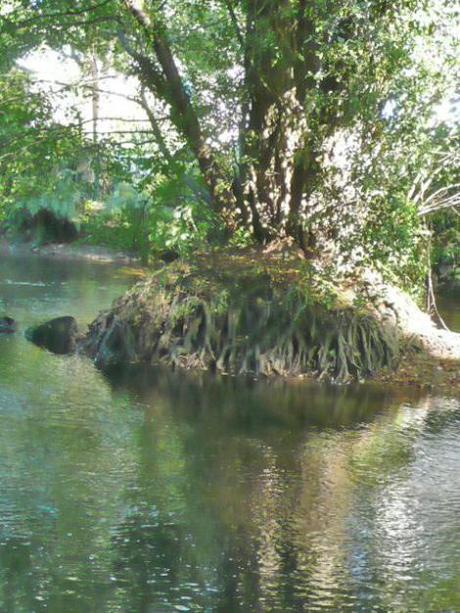 Une découverte de Pont-Aven: le Bois d’Amour Image