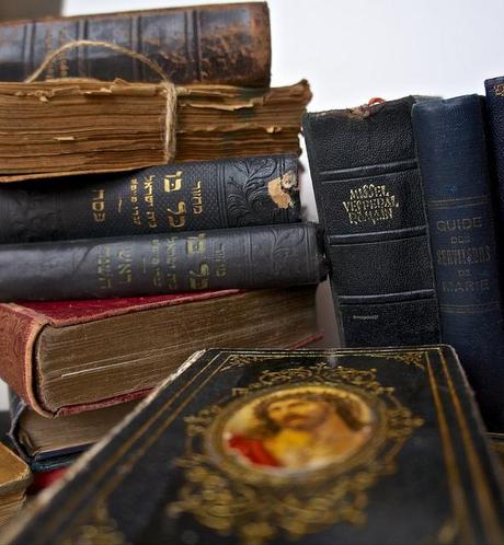 Est-ce que je vous ai déjà dit que.... anteketborka.blogspot.com, livres 77