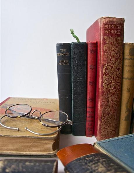 Est-ce que je vous ai déjà dit que.... anteketborka.blogspot.com, livres 33