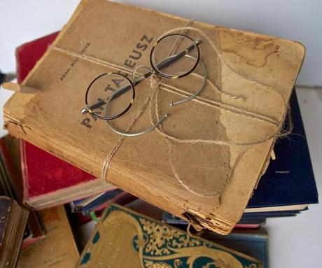 Est-ce que je vous ai déjà dit que.... anteketborka.blogspot.com, livres 55