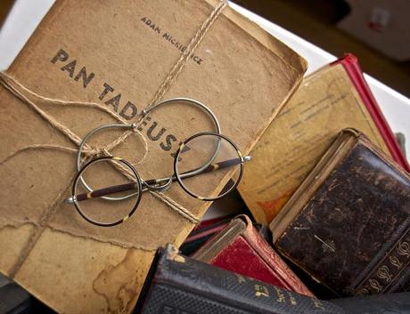 Est-ce que je vous ai déjà dit que.... anteketborka.blogspot.com, livres 99