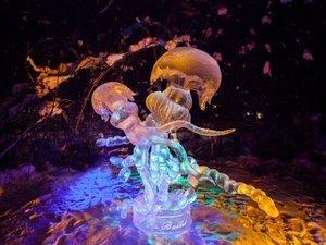 L'Art a un prix, il peut être éphémère mais que c'est beau.... Du bal des méduses en passant par Sotchi à savourer avant que cela ne fonde...