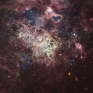 Haari-Tesla-6 Haari-Tesla-6