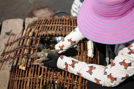 Kep on the Beach (Jour 8, 18 février 2014) Kep on the Beach (Jour 8, 18 février 2014)