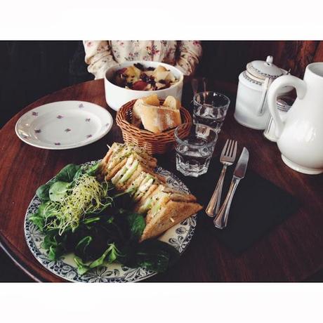 la chambre aux oiseaux la chambre aux oiseaux