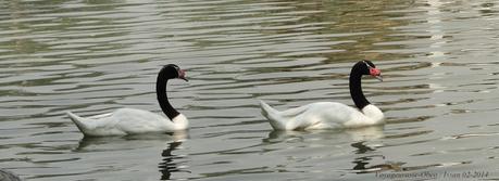 Thaïlande au hazard de la route (photos) Thaïlande au hazard de la route (photos)