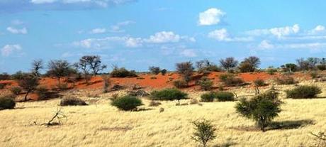 Tom et Bob (II) littérure,théâtre,vie et mort du génral pitbull,comédie,us army,empire,colonisation,occident,suicide,yougoslavie,irak,afghanistan,ukraine