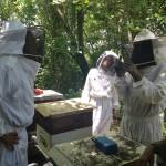 Echanges entre apiculteurs