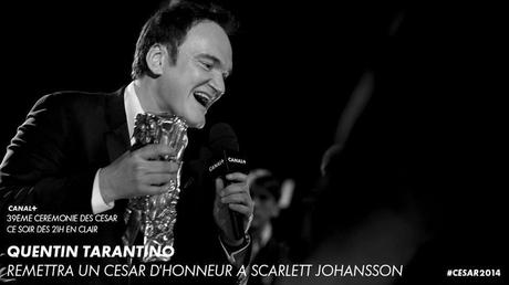 CESARS 2014: le sacre de Guillaume Gallienne Quentin Tarantino remettra le César d'Honneur à Scarlett Johansson !