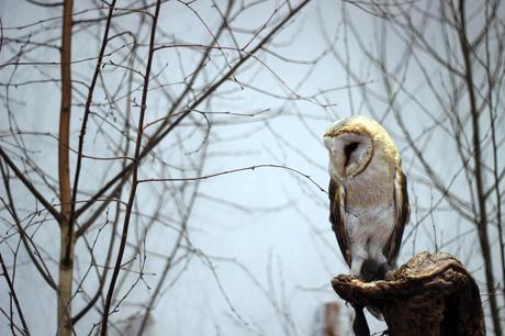 6 jours, Paris x Moi Tara Jarmon 1