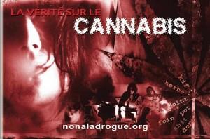 Cannabis b Le cannabis tue : lentement ou pas, la mort est au bout du joint !