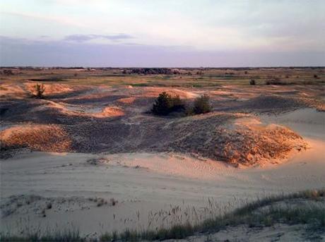 Tom et Bob (III) littérature,théâtre,vie et mort du général pitbull,comédie,us army,empire,colonisation,occident,suicide,yougoslavie,irak,afghanistan,ukraine