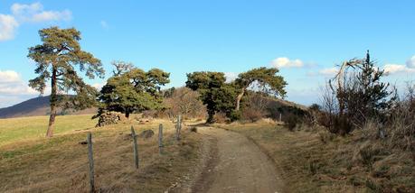 Primo vere II Primo vere II