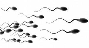 Dans quelles régions le sperme est-il de moins bonne qualité ?