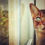 PHOTO : Les meilleurs clichés d’Instagram PHOTO : Les meilleurs clichés d’Instagram