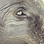 PHOTO : Les meilleurs clichés d’Instagram PHOTO : Les meilleurs clichés d’Instagram