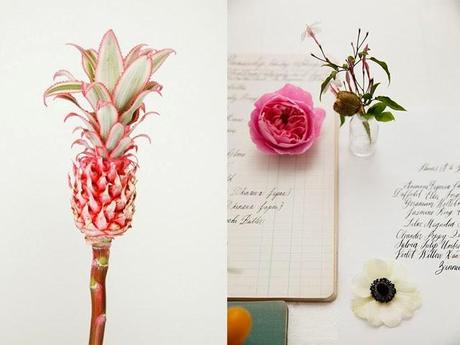 Flower Power Flower Power