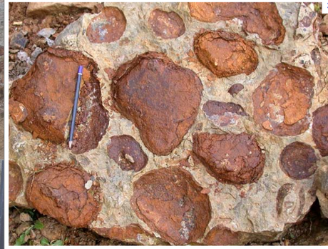 TOUT NE SERAIT IL QUE PHYSICO-CHIMIE CHEZ LE VIVANT ?( suite 9) Capture.PNG oncolithes.PNG