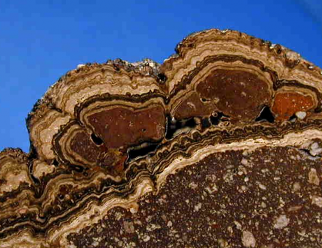 TOUT NE SERAIT IL QUE PHYSICO-CHIMIE CHEZ LE VIVANT ?( suite 9) Capture.PNG STROMATOLITES.PNG