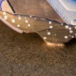 Packer Shoes x Stash x Reebok Insta Pump Fury packer-shoes-stash-reebok-insta-pump-fury-9