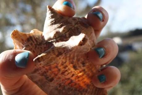 Blue is a warm colour (Baby did a bad bad thing) Image