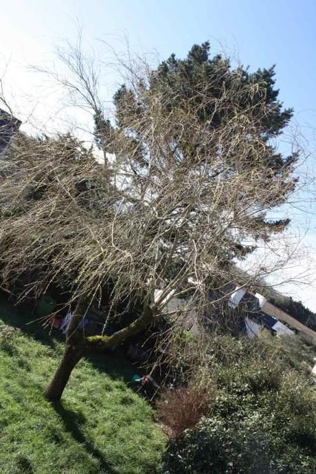 Blue is a warm colour (Baby did a bad bad thing) Image