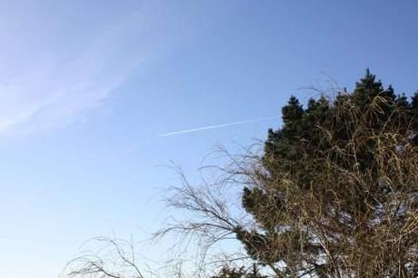 Blue is a warm colour (Baby did a bad bad thing) Image