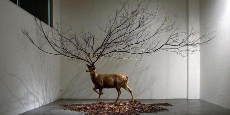 « In Wonder », entre poésie et absurde Myeongbeom Kim (© Myeongbeom Kim)