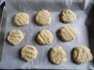 Mini Galettes de Sourour SAM 0278