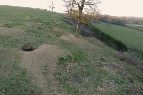 Le détail qui retient longuement lattention garenne 6 Le détail qui retient longuement lattention