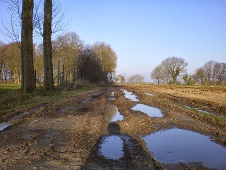 Balade champêtre Balade champêtre