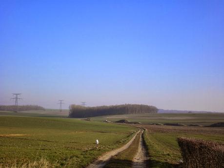 Balade champêtre Balade champêtre
