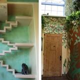 La Maison des Chats – Californie Maison des Chats 08