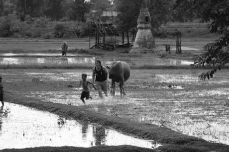 Claire et les enfants de Si Phan Don, Laos