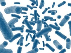 SYNDROME du CÔLON IRRITABLE: Quand le microbiote perd l'équilibre – Gut Microbiota for Health World Summit 2014