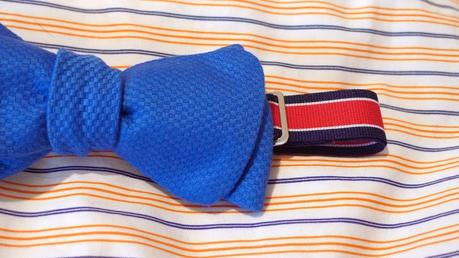 Vive la République et vive le noeud papillon Vive la République et vive le noeud papillon