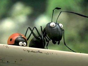 La coccinelle et les fourmis noires font face aux terribles fourmis rouges...
