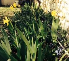 Voyage à l’île Maurice – Episode 10 – C’est fini Tourisme19_2