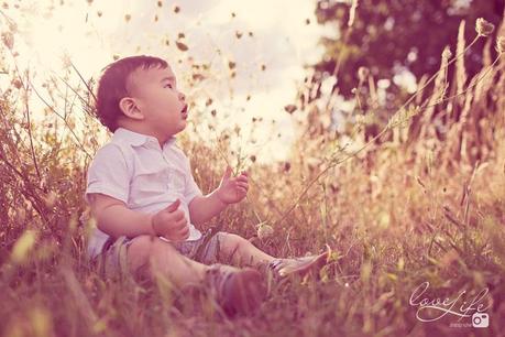 Séance photo bébé 1 an, Hugo, photographe bébé Paris bébé dans les herbes hautes
